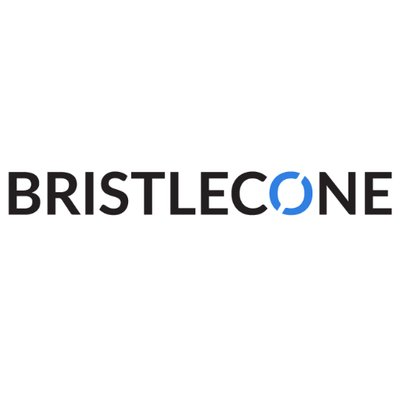 Bristlecone India's logo