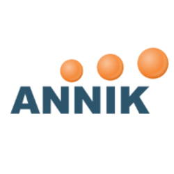 Annik Technology Services Pvt Ltd's logo