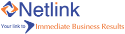 Netlink's logo