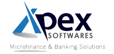 Apex softwares ltd's logo