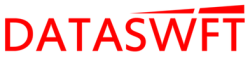 Dataswft's logo