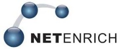 NetEnrich's logo