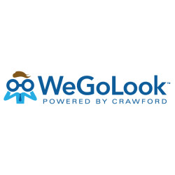 WeGoLook's logo