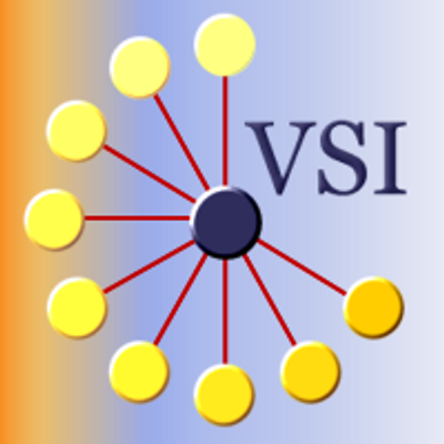 Visual Software Inc's logo
