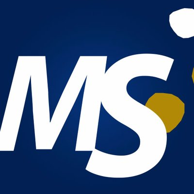 Management Solutions's logo