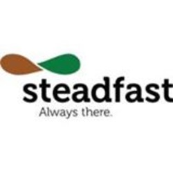 Steadfast Networks's logo
