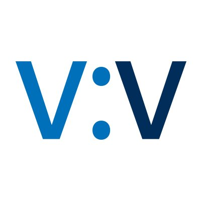 Vast Visibility's logo