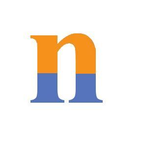 Nepallink's logo