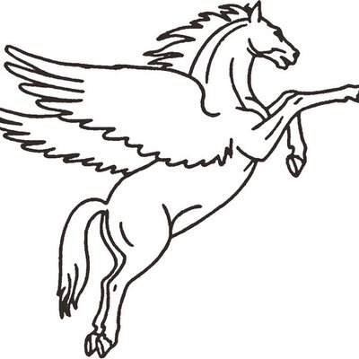 Pegasus Infocorp Pvt Ltd's logo