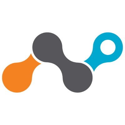 Netskope's logo