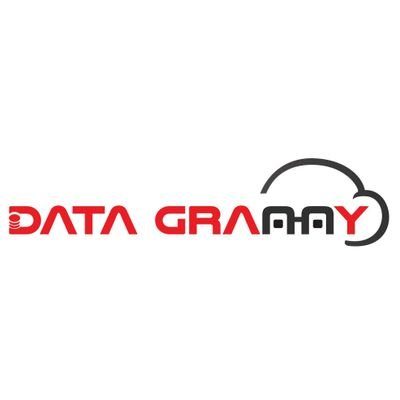 DataGranny's logo