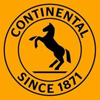 Continental Automotive Romania SRL's logo