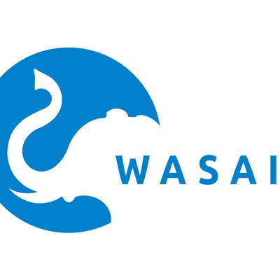 WASAI Technology's logo