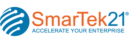 SmarTek Consultancy Services's logo