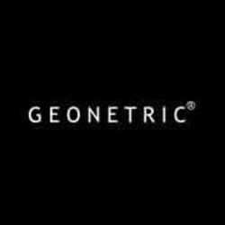 Geonetric's logo