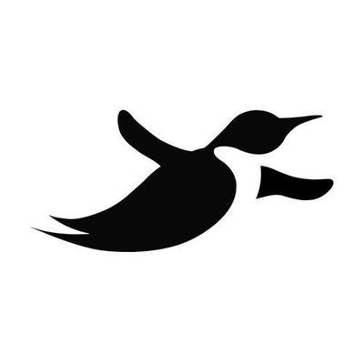 Flying penguins's logo