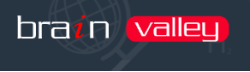 Brainvalley Software Solutions's logo