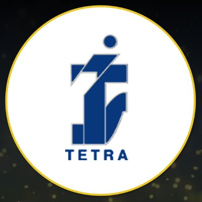 Tetra Information Services Pvt. Ltd.'s logo