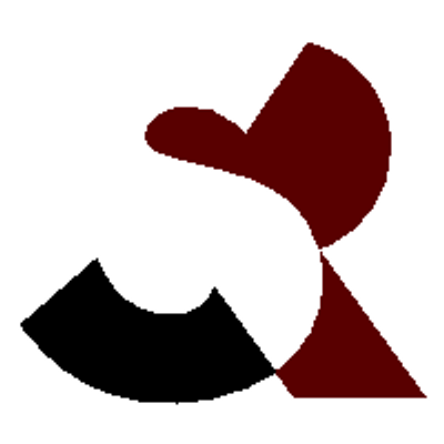 Studer&amp;raimann ag's logo
