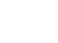 V-next Software's logo