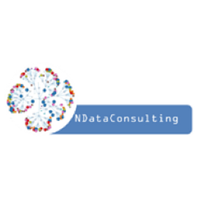 NData Consulting's logo
