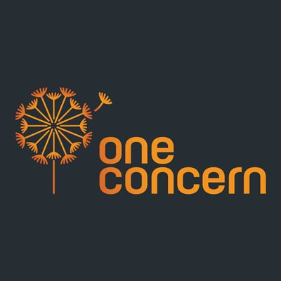 One Concern's logo