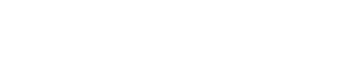 Stefanini IT Solution's logo
