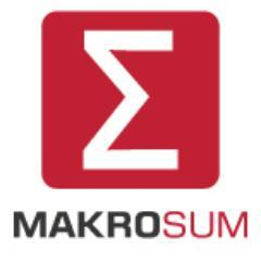 Makrosum Ltd's logo