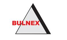 Bulnex's logo
