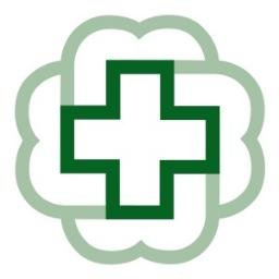 Bronson Healthcare Group's logo