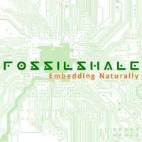 Fossilshale Embedded Technologies's logo