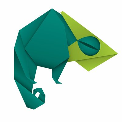 Digital Lizard Printing's logo