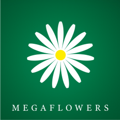 Megaflowers's logo