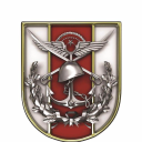 Turkish Air Force's logo